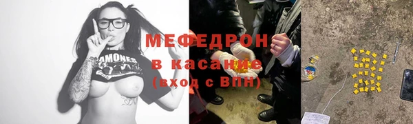 индика Билибино