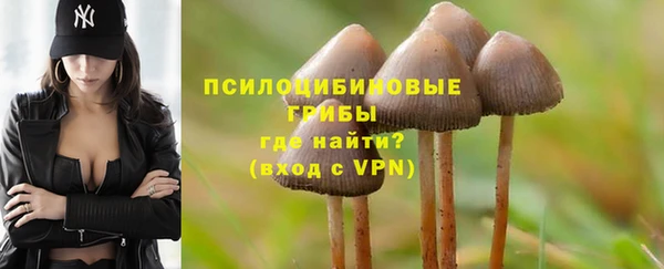 гидропоника Козловка