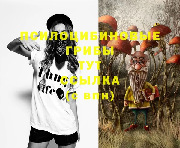 гидропоника Козловка